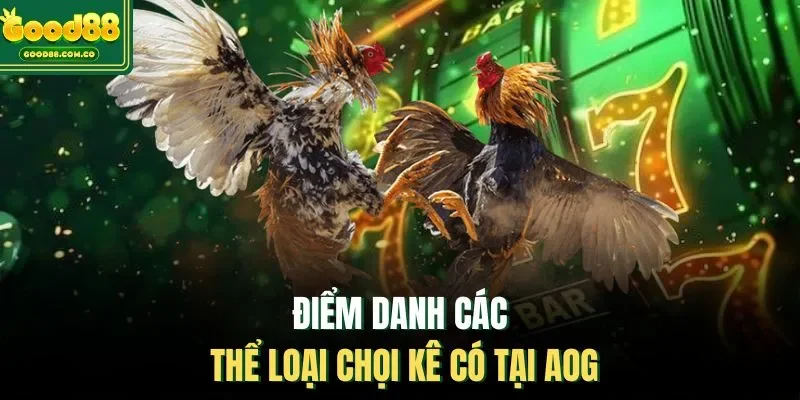Điểm danh các thể loại chọi kê có tại AOG
