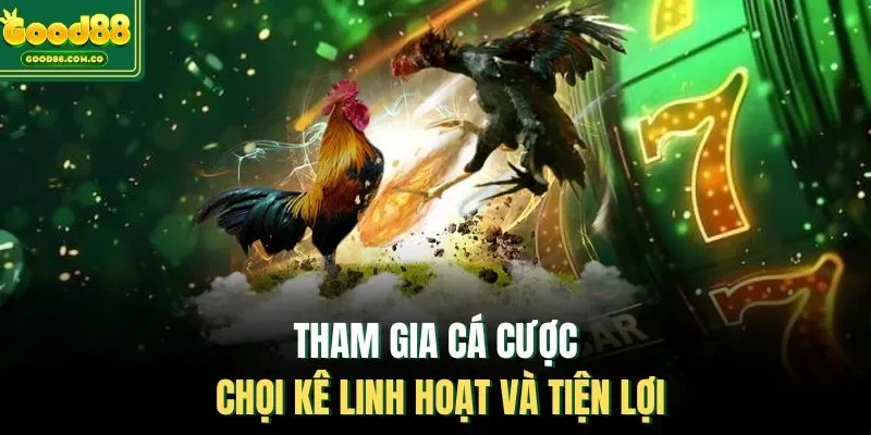 Tham gia cá cược chọi kê linh hoạt và tiện lợi