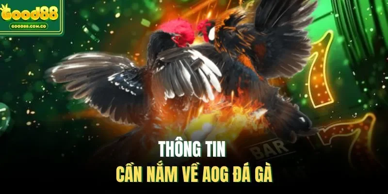 Thông tin cần nắm về AOG Đá Gà